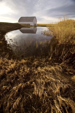 Old Barn and Dugout marsh Canada clipart