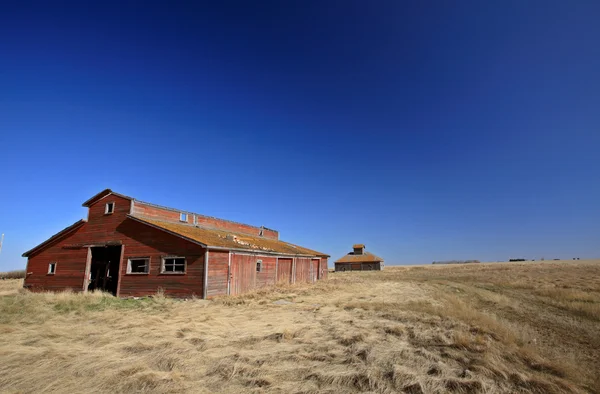 Velhos estábulos abandonados Saskatchewan Canadá — Fotografia de Stock