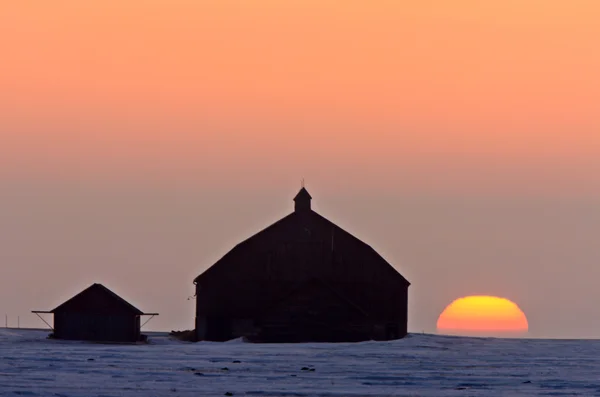 Sunset Sunrise Winter Farm Barn Saskatchewan Canada — Stock Photo, Image