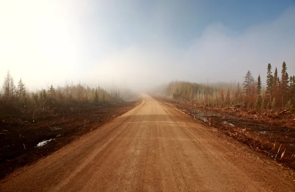 Misty Morning Road Primavera Saskatchewan — Fotografia de Stock
