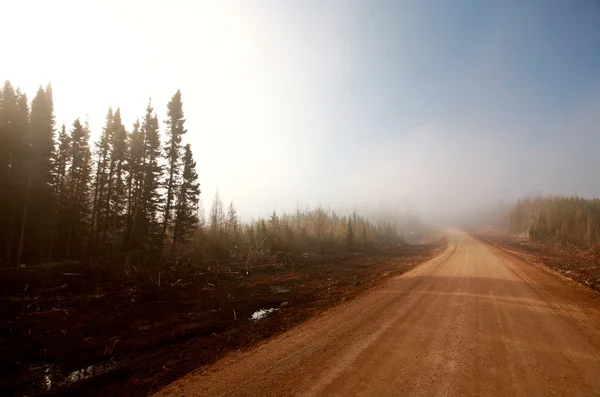 Misty Morning Road na primavera Saskatchewan — Fotografia de Stock