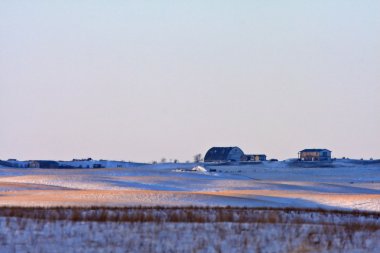 Tarım saskatchewan