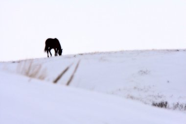 Saskatchewan Kanada