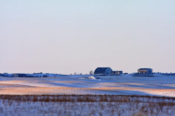 Jordbruk Saskatchewan — Stockfoto