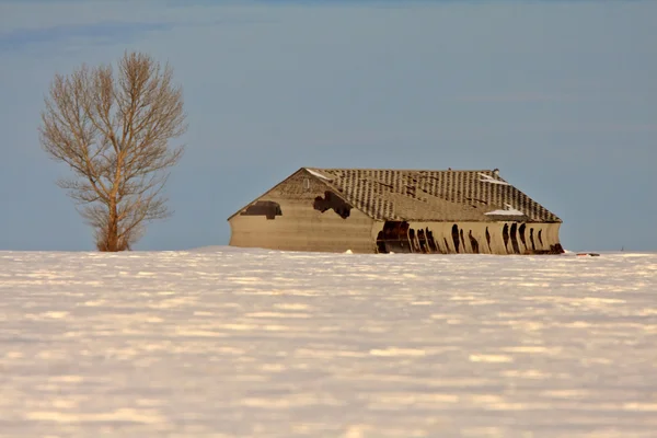 レジーナ市近く放棄された納屋サスカチュワン — ストック写真