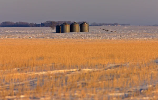 Granary Stubble Field Saskatchewan — Stock Photo, Image