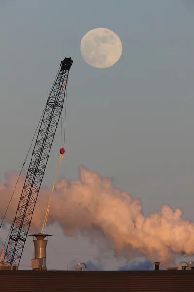 Full moon och crane Kanada — Stockfoto