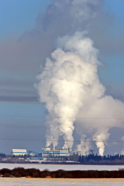 Kraftledningar och pulp mill föroreningar — Stockfoto