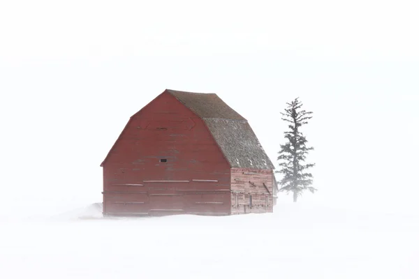 Oude schuur in de winter Saskatchewan — Stockfoto