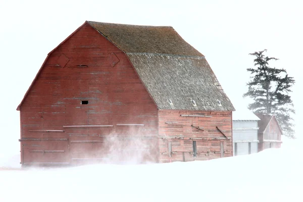 Старый амбар в зимнем Саскачеване — стоковое фото