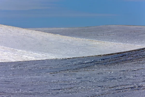Nieve y colinas en invierno Saskatchewan —  Fotos de Stock