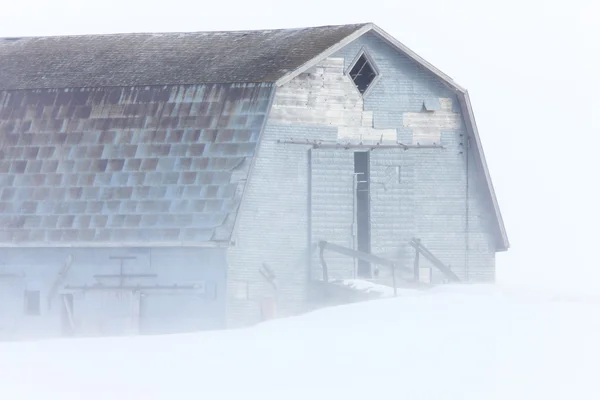 Blizzard Boerderij Gebouwen Saskatchewan — Stockfoto