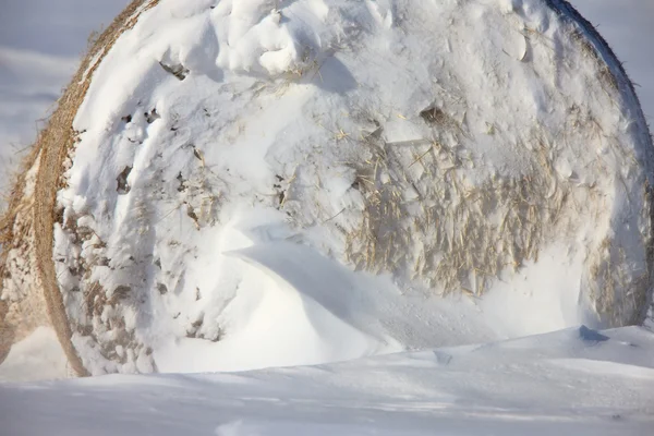 Bale de heno cubierto de nieve Canadá — Foto de Stock