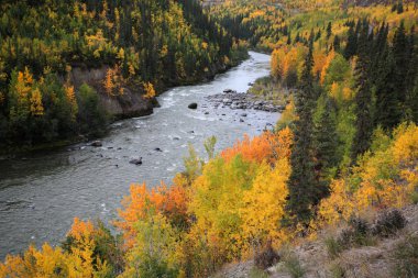 Grand Canyon of Stikine River in Northern British Columbia clipart