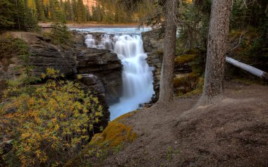 Athabasca jasper national park, alberta düşüyor