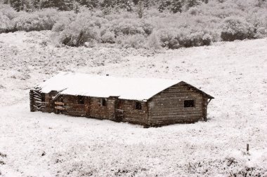 Selvi tepelerde kışın terk edilmiş çiftlik evi