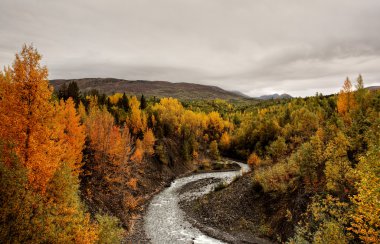 Creek in Northern British Columbia clipart