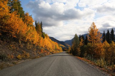 Autumn colors along British Columbia road clipart