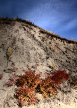 Bushes on a cliff side in Northern British Columbia clipart