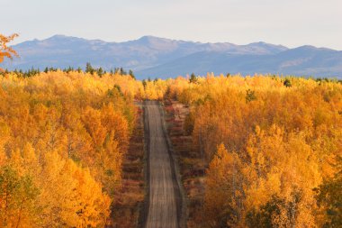 british columbia Road sonbahar renkli ağaçlar