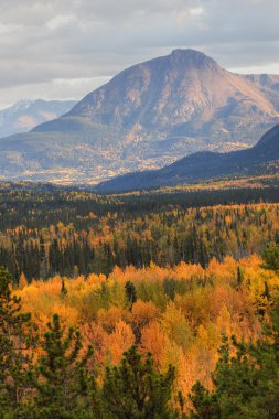 british columbia Güz dağ manzarası