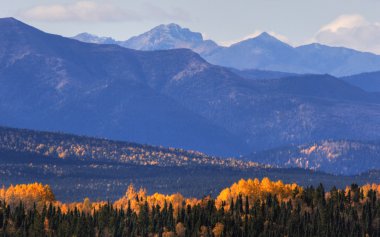 british columbia sonbahar boyunca renkli ağaçlar ve dağlar