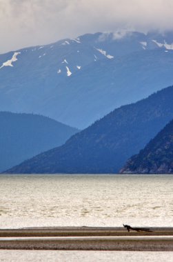 british Columbia kıyı Dağları üzerinde alçak bulutlar