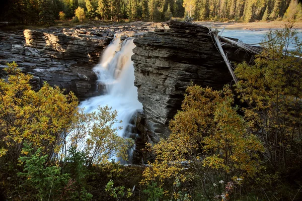 Athabasca Falls Parque Nacional Jasper Alberta —  Fotos de Stock