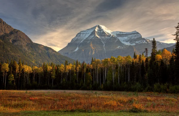 Mount Robson in autumn — Stock Photo, Image