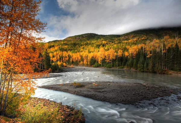 Podzimní Barvy Podél Řeky Tanzilla Severní Provincii Britská Kolumbie — Stock fotografie