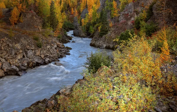 Cores de outono ao longo do rio Tanzilla no norte da Colúmbia Britânica — Fotografia de Stock