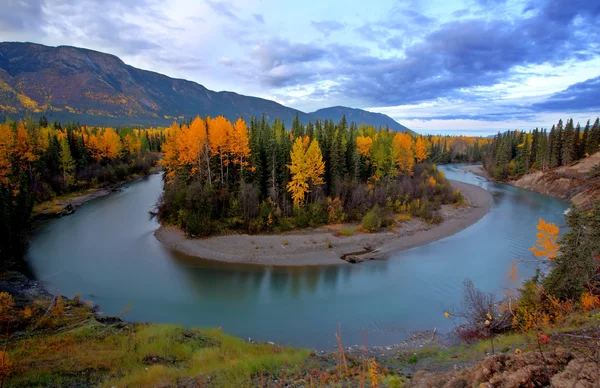 Colores Otoñales Largo Del Río Tanzilla Norte Columbia Británica — Foto de Stock