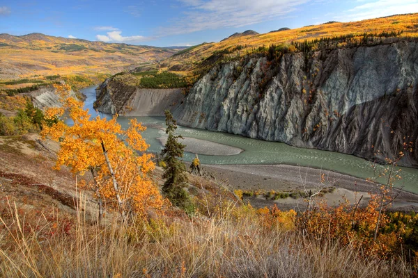 Podzimní Barvy Stikine Řeky Severní Provincii Britská Kolumbie — Stock fotografie