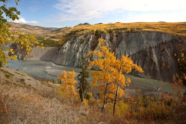 Podzimní Barvy Stikine Řeky Severní Provincii Britská Kolumbie — Stock fotografie