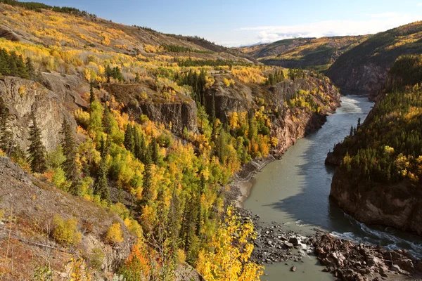 Grand canyon řeky stikine, v provincii Britská Kolumbie — Stock fotografie