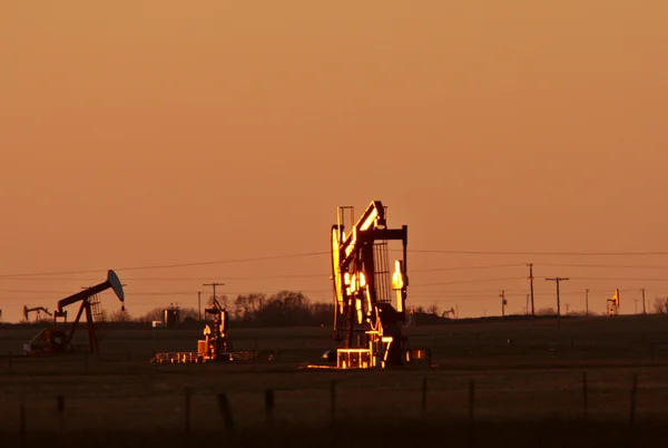 Bomba de aceite cerca de árboles en Saskatchewan — Foto de Stock