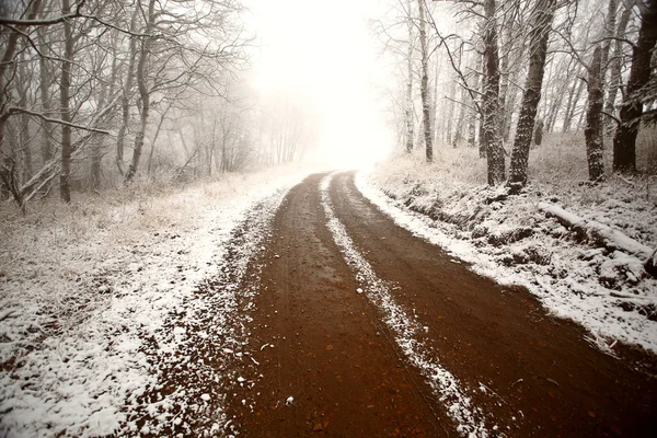 stock image Ice fog in Cypress Hills Provincial Park of Saskatchewan