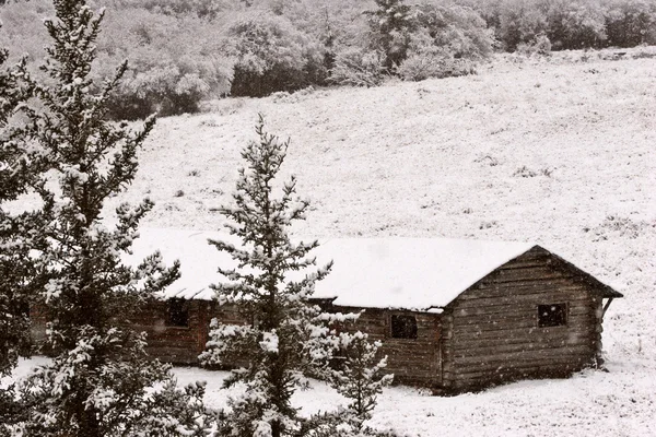 Verlassenes Ranchhaus Winter Den Zypressenhügeln — Stockfoto