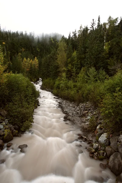 Argle Creek in British Columbia — Stock Photo, Image