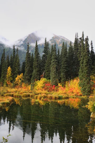 Reflexiones Sobre Lago Columbia Británica —  Fotos de Stock