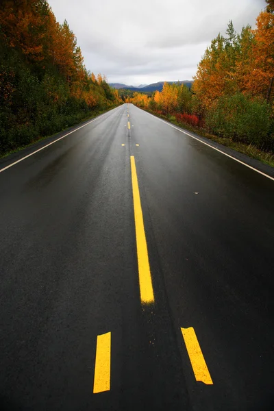 Mokre cassiar autostrady przez Północnej Kolumbii Brytyjskiej — Zdjęcie stockowe