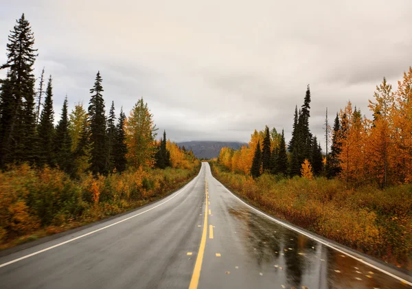 Nasse Cassiar Highway durch Nordbritisch Columbia — Stockfoto