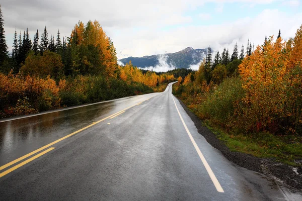 Autopista Wet Cassiar a través del norte de la Columbia Británica —  Fotos de Stock