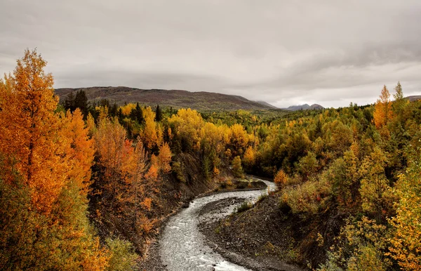 Creek em Northern British Columbia — Fotografia de Stock