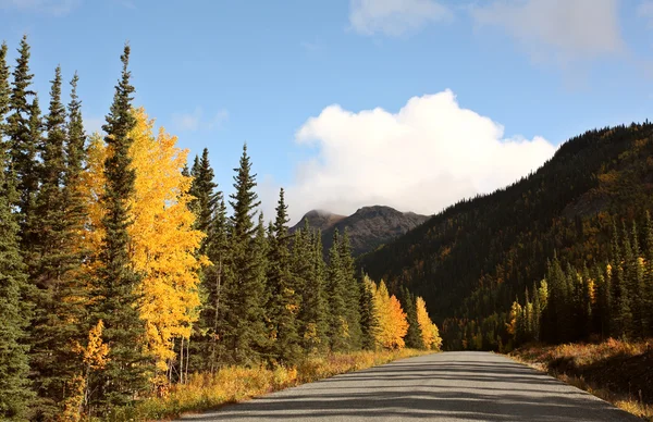 British Columbia Yol Boyunca Sonbahar Renkleri — Stok fotoğraf