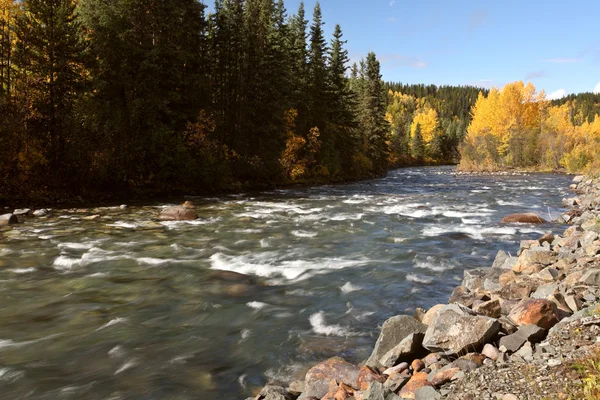 北部のブリティッシュ コロンビア川の秋の色 — ストック写真