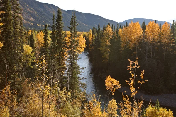 Tanzilla River Norra British Columbia — Stockfoto