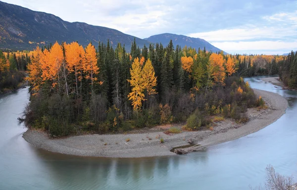 Autumn colors along Northern British Columbia river — Stock Photo, Image