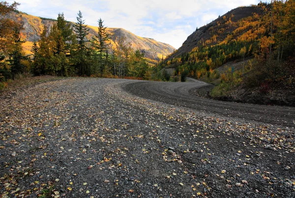 Herfst Kleuren Langs Noordelijke Weg Van Brits Columbia — Stockfoto