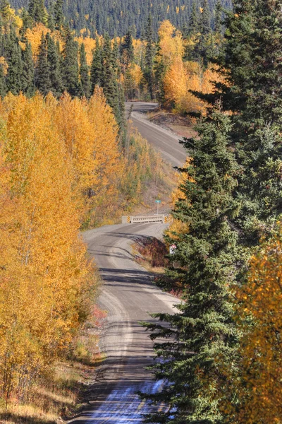 Осенние цветные деревья вдоль горной дороги в Британской Колумбии — стоковое фото
